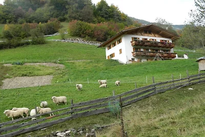 Bauernhof mit 2 Schlafzimmer