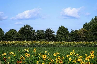 Wohnung in Vrouwenpolder am Strand