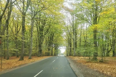 Ruhiger Dunenblick Ruckzugsort-By Traum