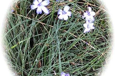 Ferienhaus in Provence mit Pool & Spa