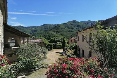 Ferienhaus in San Godenzo mit Pool