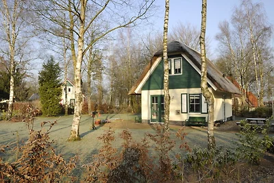Ferienhaus in Heeten mit Garten