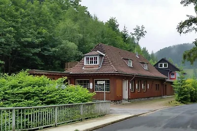 Geräumiges Appartement im Oberharz, in...