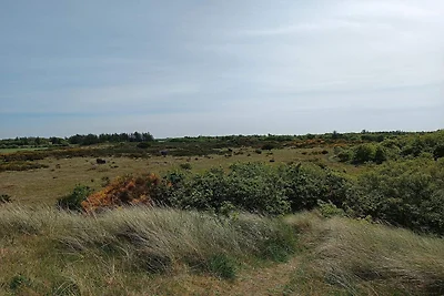 6 persone case ad Skjern-By Traum