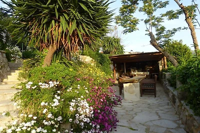 La fontaine vieille, Vence