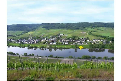 Moselstrand 1 Komfortable Ferienresidenz