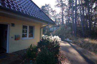 Rijtjeshuis Dünenwaldhaus in Trassenheide
