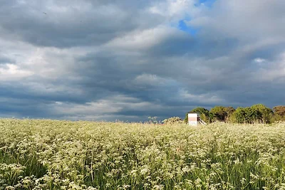 8 Personen Ferienhaus in Præstø