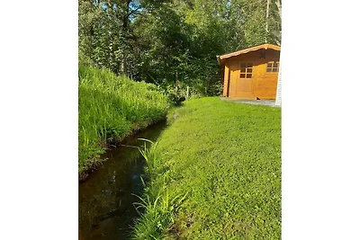 Ferienhaus in Brilon mit Schwimmbecken