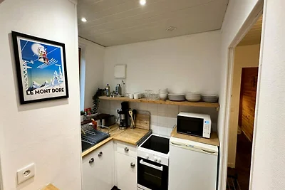 Apartment in Le Mont-Dore mit Bergblick