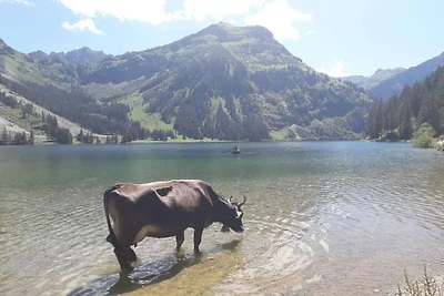 Holiday apartment in Oy-Mittelberg with Wi-Fi