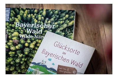 W Wartner - Luksusowy Chalet