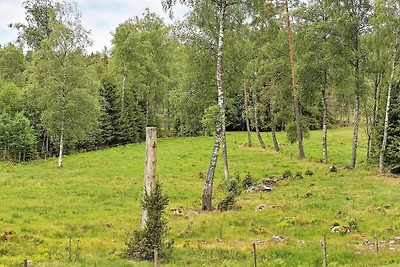 6 Personen Ferienhaus in SÄVSJÖ