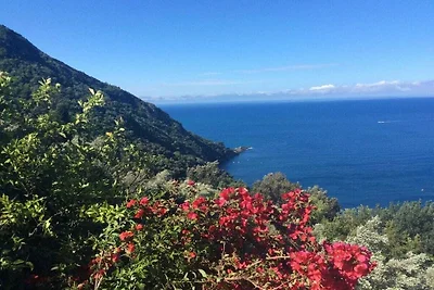 Clifftop Apartment Confortevole residenza per...