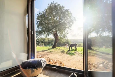 Appartamento ad Aljezur vicino alle spiagge...