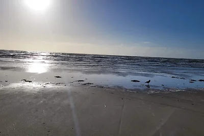 4 Personen Ferienhaus in Blåvand-By Traum
