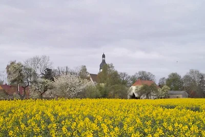 In prossimitá (estate) (<1 km) In prossimitá (estate) (<1 km)