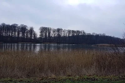 7 Personen Ferienhaus in Svendborg-By Traum