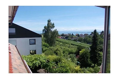 Vue à 180° sur le lac de Constance