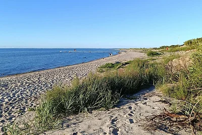 12 persoons vakantie huis in Nordborg-By...