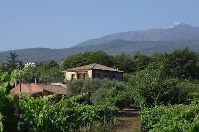 Ferienanlage Tenuta Madonnina, Castiglione di...