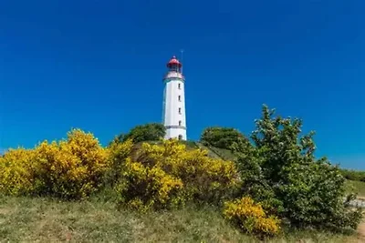 Appartements Post Hiddensee, Vitte