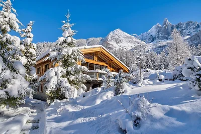 Luxury Chalet with daily pastries &...