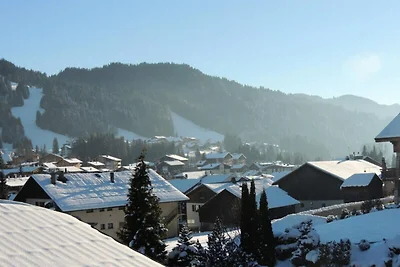 Chalet in der Nähe der Skipisten von Mont...
