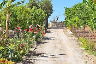 034 Finca Ballester ETV5242 von Mallorca...