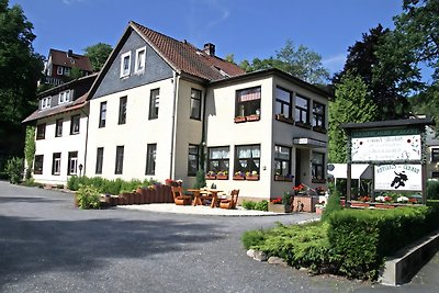 Ferienwohnung im Herzen des Harzes