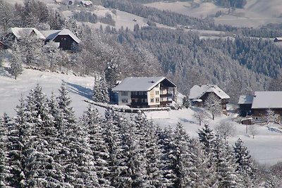 Nette Ferienwohnung in Afritz am See bei Skig...