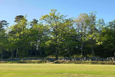 4 Sterne Ferienhaus in tånumshede-By Traum