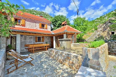Gemütliches Ferienhaus mit Garten in...