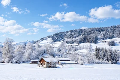 Appartement au Tyrol près de Kitzbühel