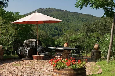 Ferienhaus Die Schildkröte in Alájar