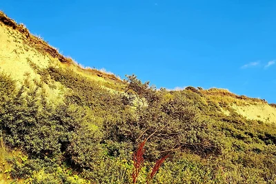 8 persoons vakantie huis in Vestervig