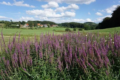 Öttersbach Il Piccolo