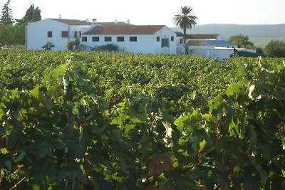 Traditionelles andalusisches Landgut bei Córd...