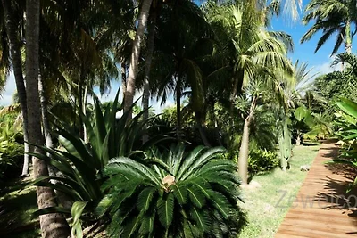 Mobilheim - Bungalow - Cottage für 6 Personen