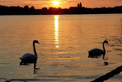 Winnewupp am Ruppiner See