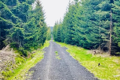 Ferienhaus Abertamy nahe Skipisten