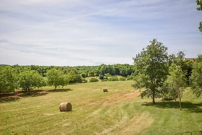 Verführerisches Ferienhaus in Salviac mit...