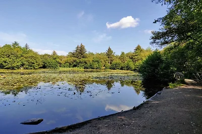 6 Personen Ferienhaus in Bindslev-By Traum