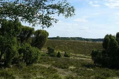 Casa vacanze nella brughiera di Luneburgo
