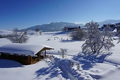 Holiday apartment with 1 bedroom