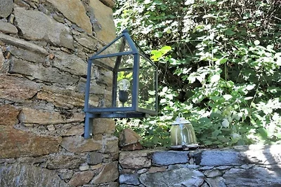 Casa vacanze a Cugnasco con piscina