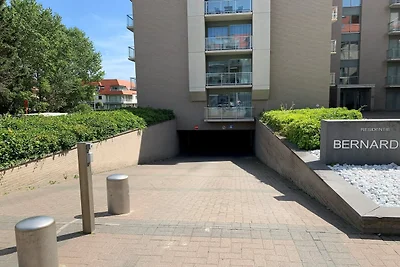 Appartement in Nieuwpoort met zeezicht