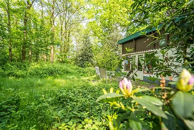 Splendidamente situato propria foresta...