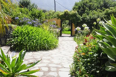 Ferienhaus Erholungsurlaub Los Realejos