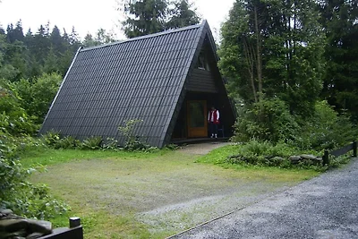 Nurdachferienhaus / Finnhütte "Erika"